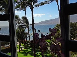 View from Mom and Bill's condo bedroom