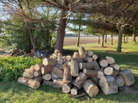 The firewood piled ready to split
