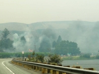 Fire near the road