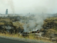 Fire right up to road shoulder
