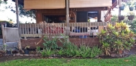 Before landscaping