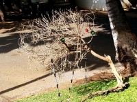 The temporary feeding tree