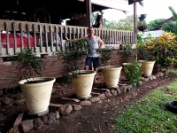 Planting the pots