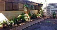 The back garden