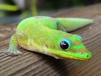 Here\'s looking at you