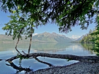 Lake McDonald