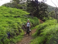 Nan and Cookie at Waihee Ridge