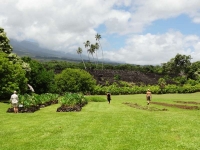 Pi’ilanihale Heiau