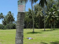 Neil laying under coconut trees