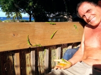 Neil with geckos on the lanai