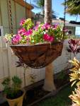 Hanging Planter