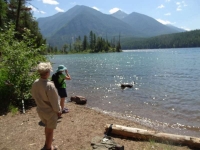 Lyra swimming in the lake