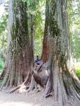 Neil at Ross Creek Cedars
