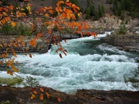 Autumn leaves and Falls 07