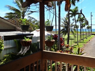 Hanging planters viewed from lanai