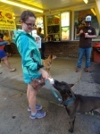 Doggie Ice Cream