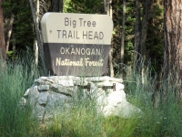 Big Tree Trail Head