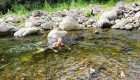 Neil in Iao Stream