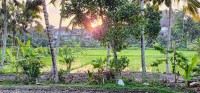 Ubud Sunset