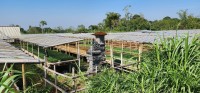 Greenhouses