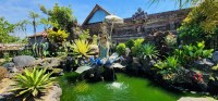 Fountain
