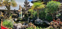 Fountain and Garden