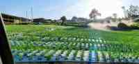 Watering the Fields