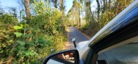 Narrow Road