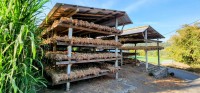 Drying Racks