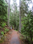 Rainy Lake Trail