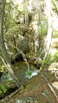Pool at top of the falls