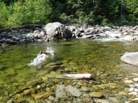 Neil diving in