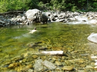 Neil in swimming hole