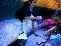 Rockpool touch zone