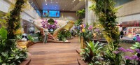 Orchid Garden Singapore with Nan