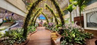 Orchid Garden Singapore airport