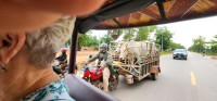 Motorcycle cattle mover