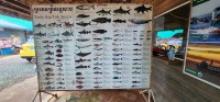 Fish sign