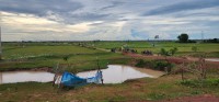 Fishermen and cattle