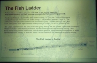 Fish ladder sign