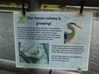 Heron Nesting Sign