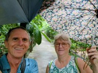 Rain in the Rain Forest