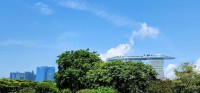 View of Skyline