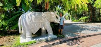 Neil with Elephant