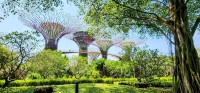 Supertrees