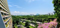 View from Overpass