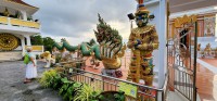 Green Naga