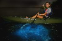 Bioluminescence-Kayaking