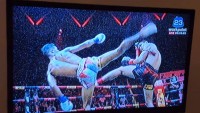 Thai Boxing Kick