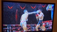 Thai Boxing Punch